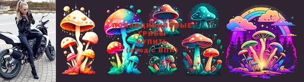 мдпв Майский