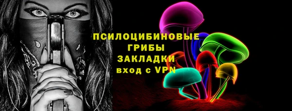 крисы Магадан