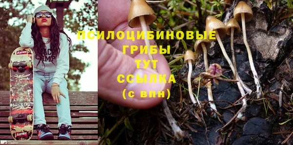 крисы Магадан
