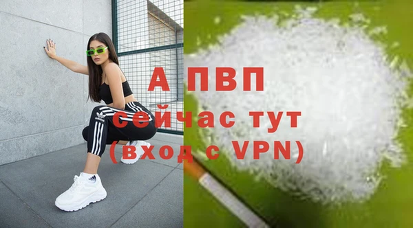 крисы Магадан