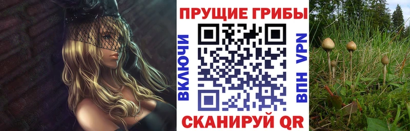 Галлюциногенные грибы MAGIC MUSHROOMS  Всеволожск 