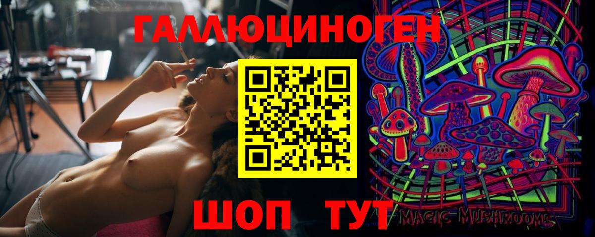 Псилоцибиновые грибы прущие грибы Всеволожск