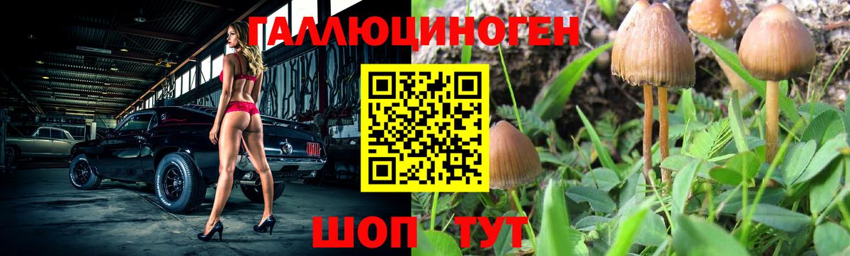 Галлюциногенные грибы ЛСД Всеволожск