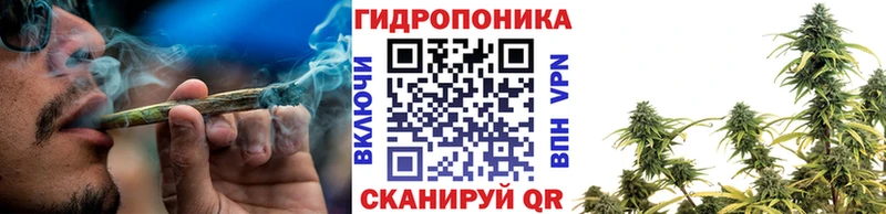 Канабис сатива Всеволожск