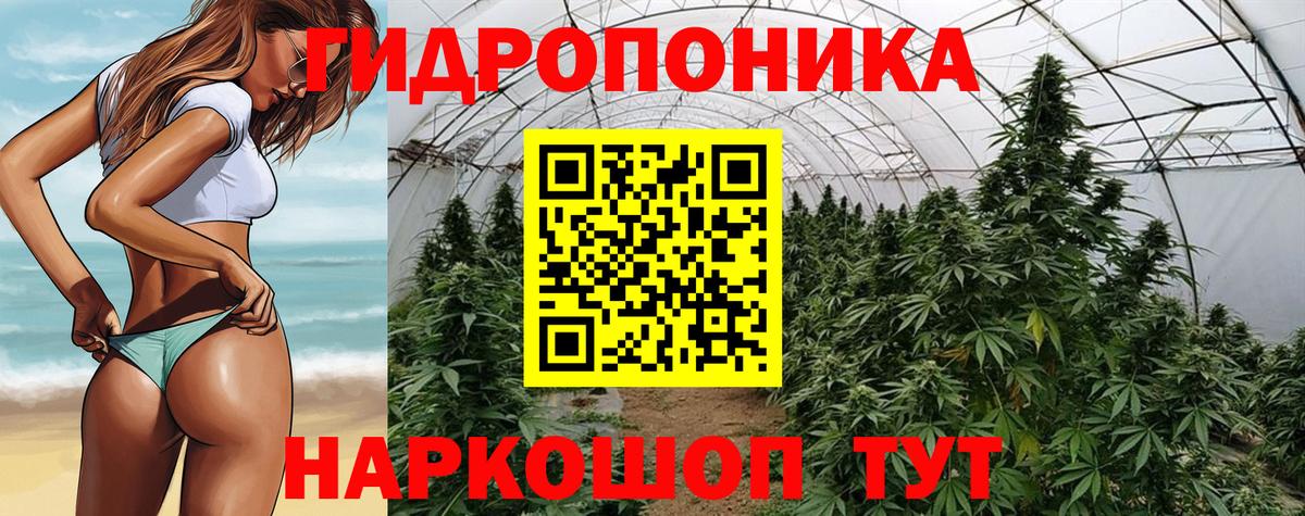Бошки Шишки сатива Всеволожск